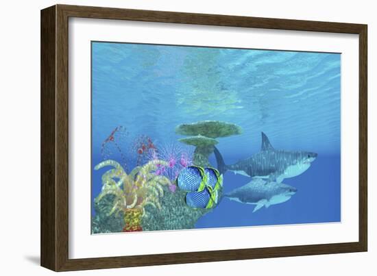 Butterflyfish Swim Toward the Shelter of a Reef to Hide from Two Great White Sharks-Stocktrek Images-Framed Art Print