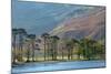 Buttermere, Cumbria, UK-John Potter-Mounted Photographic Print