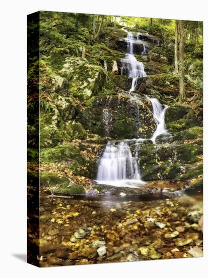 Buttermil Falls Autumn Scenic, New Jersey-George Oze-Stretched Canvas