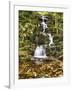 Buttermil Falls Autumn Scenic, New Jersey-George Oze-Framed Premium Photographic Print