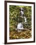 Buttermil Falls Autumn Scenic, New Jersey-George Oze-Framed Premium Photographic Print