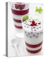 Buttermilk and Redcurrant Layered Dessert with Mint Leaves-null-Stretched Canvas