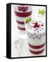 Buttermilk and Redcurrant Layered Dessert with Mint Leaves-null-Framed Stretched Canvas