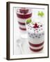 Buttermilk and Redcurrant Layered Dessert with Mint Leaves-null-Framed Photographic Print