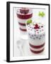 Buttermilk and Redcurrant Layered Dessert with Mint Leaves-null-Framed Photographic Print