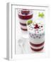 Buttermilk and Redcurrant Layered Dessert with Mint Leaves-null-Framed Photographic Print