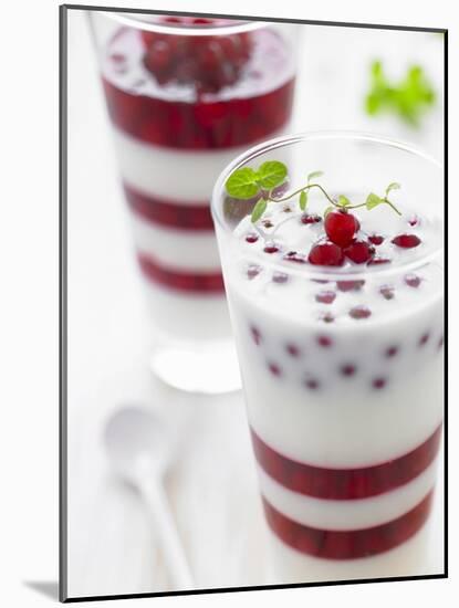 Buttermilk and Redcurrant Layered Dessert with Mint Leaves-null-Mounted Photographic Print