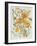 Butterscotch Bouquet II-Chariklia Zarris-Framed Art Print