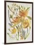 Butterscotch Bouquet II-Chariklia Zarris-Framed Art Print