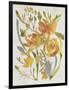 Butterscotch Bouquet II-Chariklia Zarris-Framed Art Print