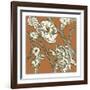 Butterscotch Chintz I-Chariklia Zarris-Framed Art Print