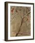 Butterscotch Fruit Tree-Jodi Maas-Framed Giclee Print