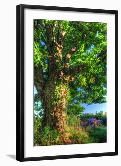 Butterville Road Vertical-Robert Goldwitz-Framed Photographic Print