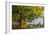 Butterville Road-Robert Goldwitz-Framed Photographic Print