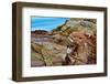 Buttes and rocks, White Domes Area, Valley of Fire State Park, Nevada, USA-Michel Hersen-Framed Photographic Print