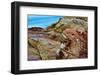 Buttes and rocks, White Domes Area, Valley of Fire State Park, Nevada, USA-Michel Hersen-Framed Photographic Print