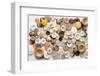 Button Background in Neutral Colors-lawcain-Framed Photographic Print