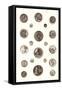 Button Collection-null-Framed Stretched Canvas