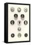 Button Collection-null-Framed Stretched Canvas