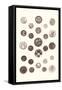 Button Collection-null-Framed Stretched Canvas