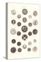 Button Collection-null-Stretched Canvas