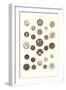 Button Collection-null-Framed Art Print