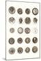 Button Collection-null-Mounted Art Print