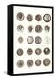 Button Collection-null-Framed Stretched Canvas