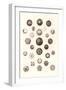 Button Collection-null-Framed Art Print