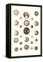 Button Collection-null-Framed Stretched Canvas