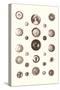 Button Collection-null-Stretched Canvas