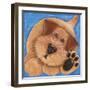 Buttons-Kate Mawdsley-Framed Giclee Print