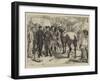 Buying Horses in Brittany for the French Army-Basil Bradley-Framed Giclee Print