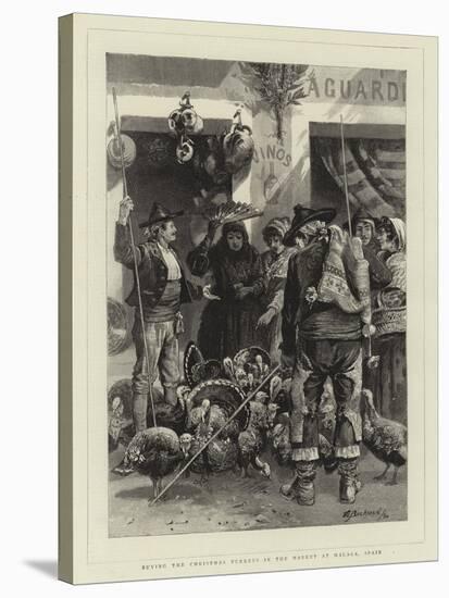 Buying the Christmas Turkeys in the Market at Malaga, Spain-Edwin Buckman-Stretched Canvas