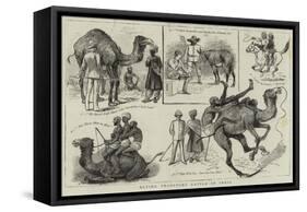 Buying Transport Cattle in India-null-Framed Stretched Canvas