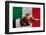 Buying with Credit Card in Mexico-vepar5-Framed Photographic Print