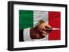 Buying with Credit Card in Mexico-vepar5-Framed Photographic Print