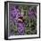 Buzz - Bumble Bee on Lavender-Kirstie Adamson-Framed Premium Giclee Print