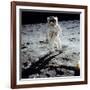 Buzz on The Moon-null-Framed Giclee Print