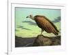 Buzzard Rock-James W. Johnson-Framed Giclee Print