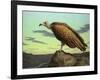 Buzzard Rock-James W. Johnson-Framed Giclee Print