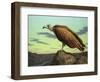 Buzzard Rock-James W. Johnson-Framed Giclee Print