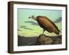 Buzzard Rock-James W. Johnson-Framed Giclee Print