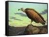 Buzzard Rock-James W. Johnson-Framed Stretched Canvas