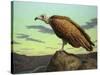 Buzzard Rock-James W. Johnson-Stretched Canvas