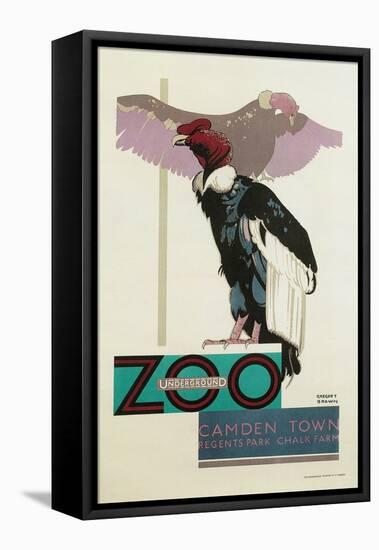 Buzzards, London Zoo-null-Framed Stretched Canvas