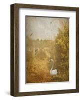 Buzzbird-Lynne Davies-Framed Photographic Print