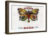 Buzzer Cigar Box Label-Lantern Press-Framed Art Print