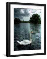 Buzzset-Tim Kahane-Framed Photographic Print