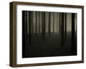 Buzztube-David Baker-Framed Photographic Print